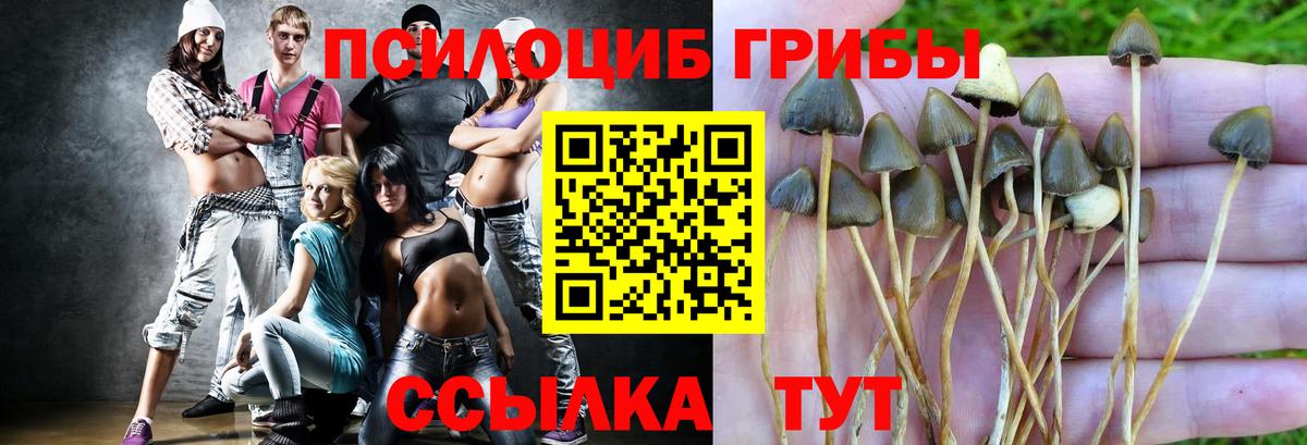 Псилоцибиновые грибы мухоморы Муравленко